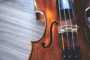 violin music musical instrument 2560312